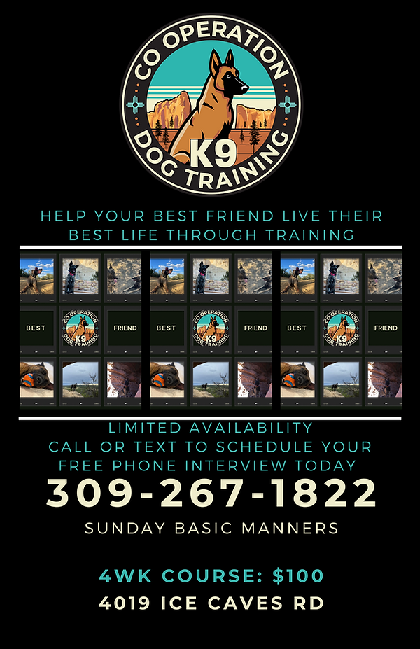 dog pictures in dog training flyer