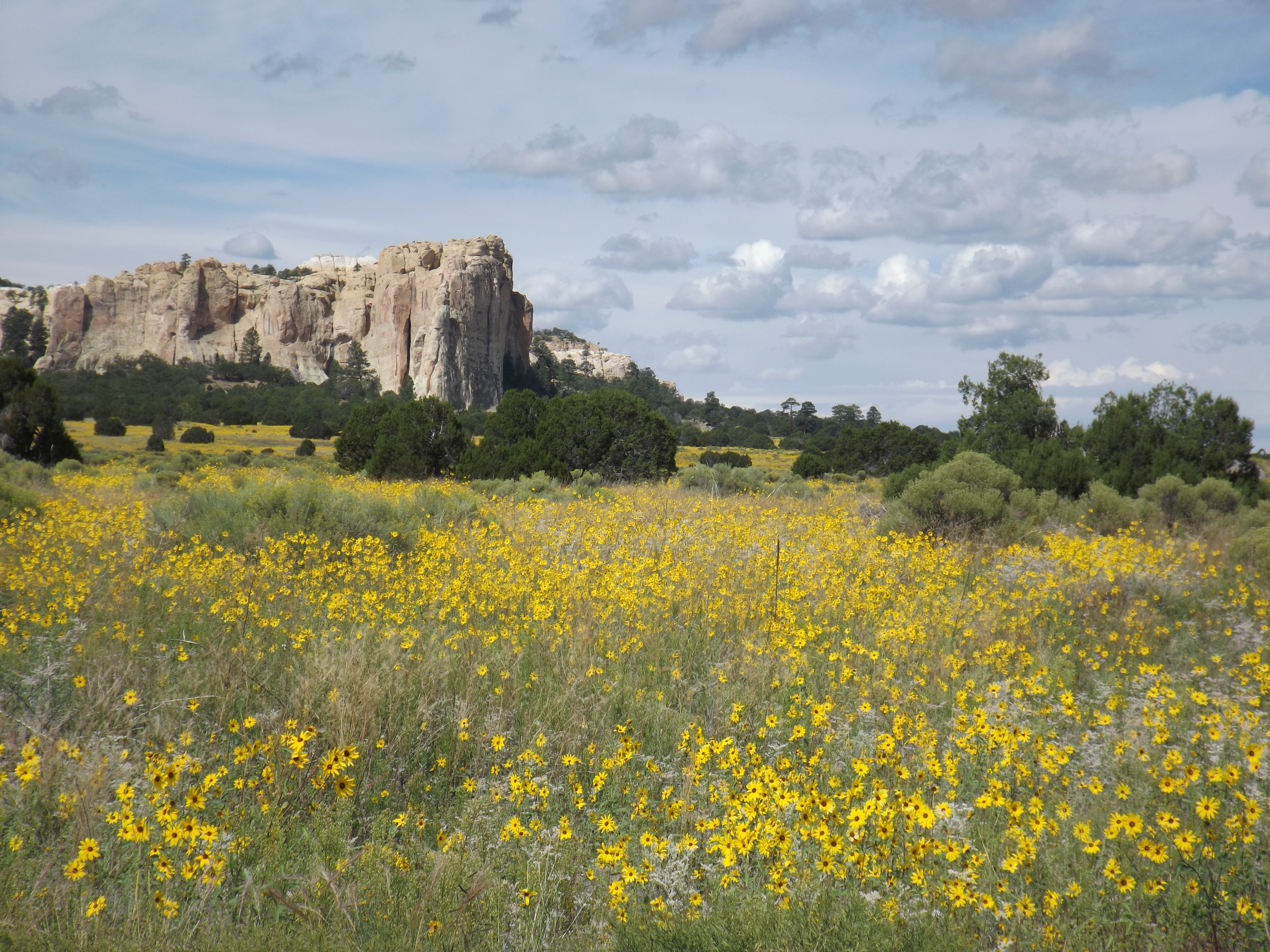 El Morro RV Park & Cabins - Photo 2