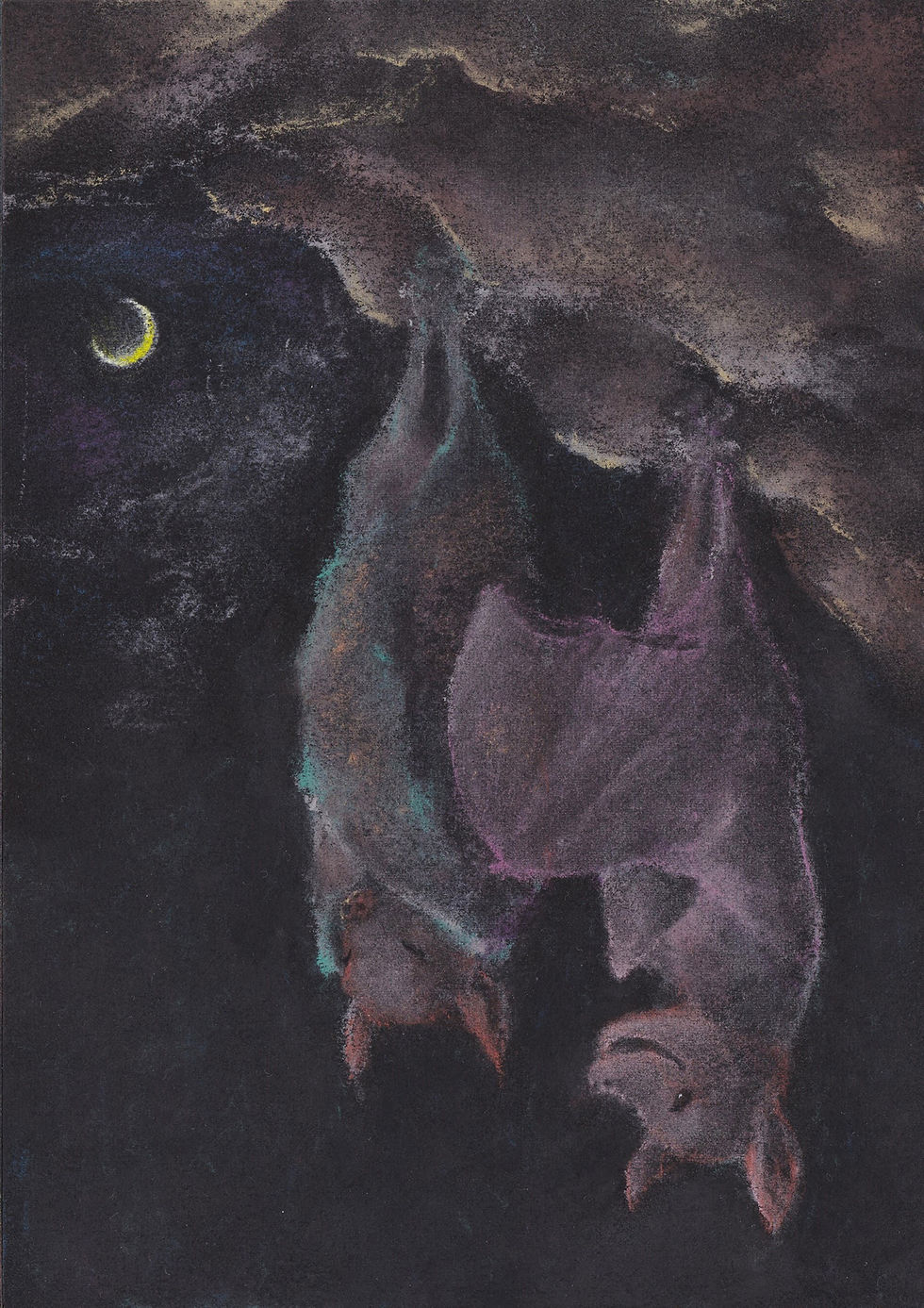 couple-bat