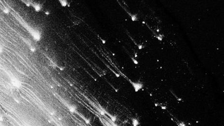 Ritual - Starfall