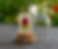 Portifolio-pingente1.png