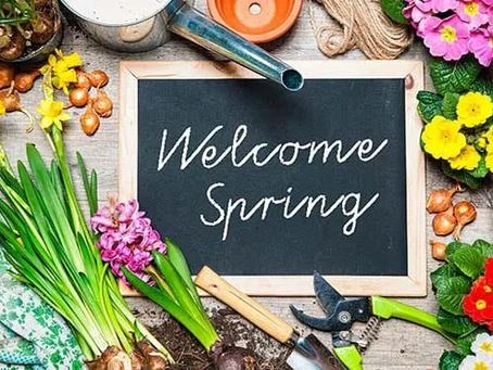 Spring Ahead and Managing Transitions, Changes, and Mental Health for you and your children