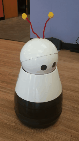 giphy.gif