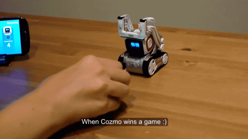 giphy-1 copy.gif