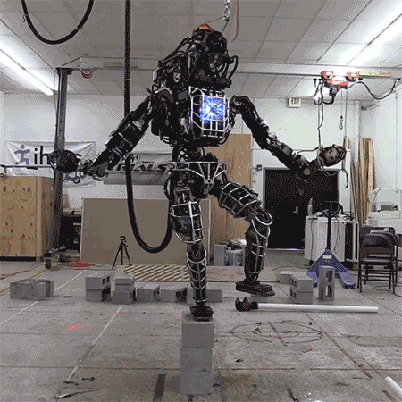 giphy-4.gif