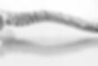 shutterstock_2063521289.jpg