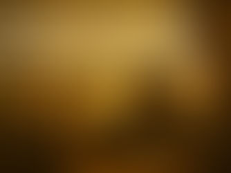 New Zealand’s Early European Explorers: Portuguese Before Tasman?