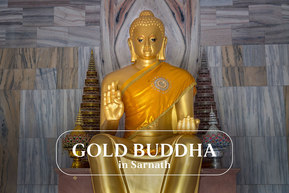 Gold sitting Buddha in Sarnath, India