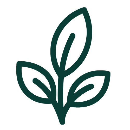 Leaf-icon.png
