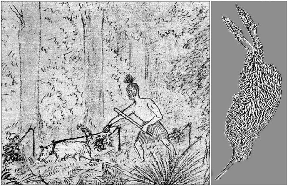 Traditional Maori Hunting Techniques