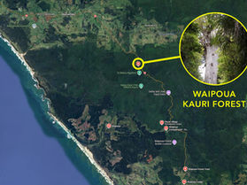 New Zealand's First Settlers: Discoveries at Waipoua Stone Settlement