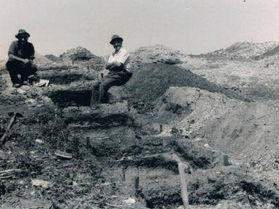 Discovering New Zealand's First Settlers: Insights from Poukawa Excavation