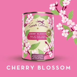 Cherry blossom ~チェリーブロッサム~ フラワーメニュー チェリーブロッサム | 22moriclub