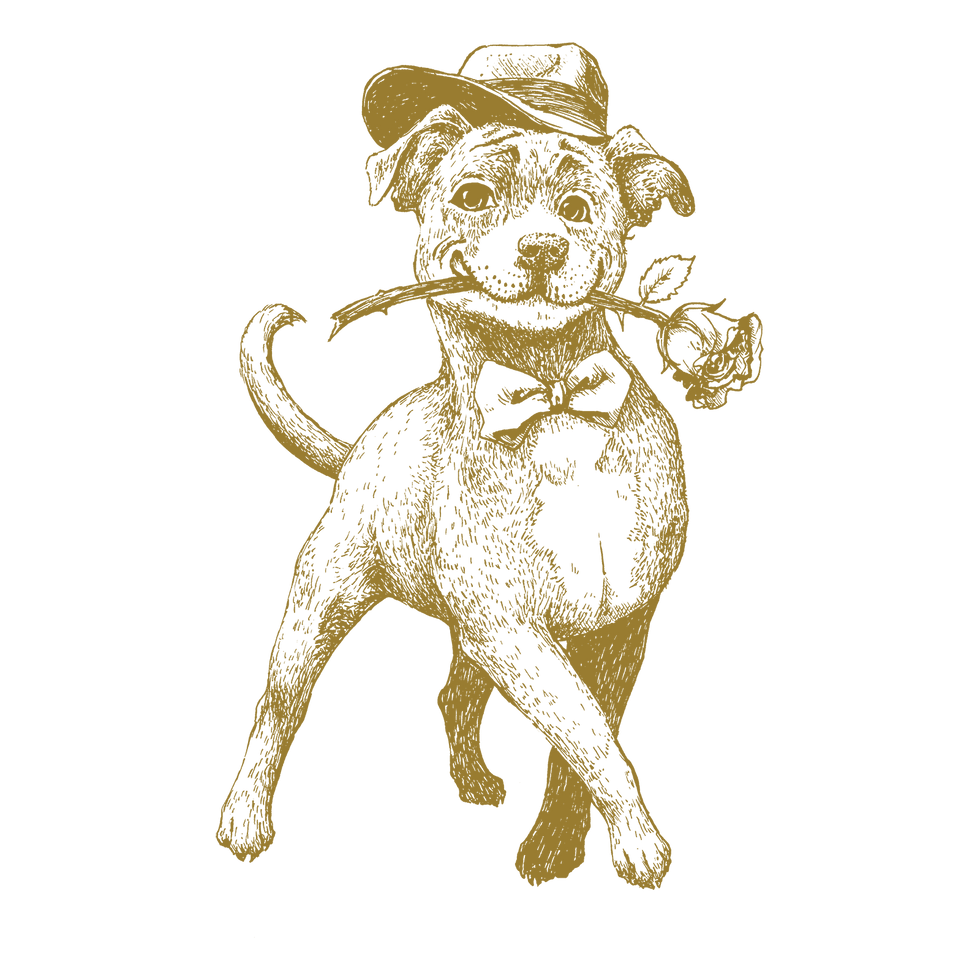 ハーバルヒーローズ カサノバ