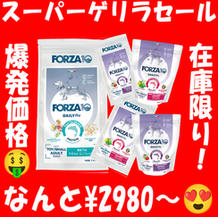 ゲリラセール開催中