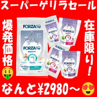 ゲリラセール開催中