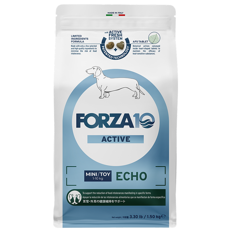 エコーアクティブ ミニ