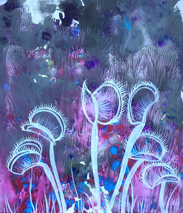 Flytraps.jpg