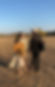 IMG_6773.jpeg