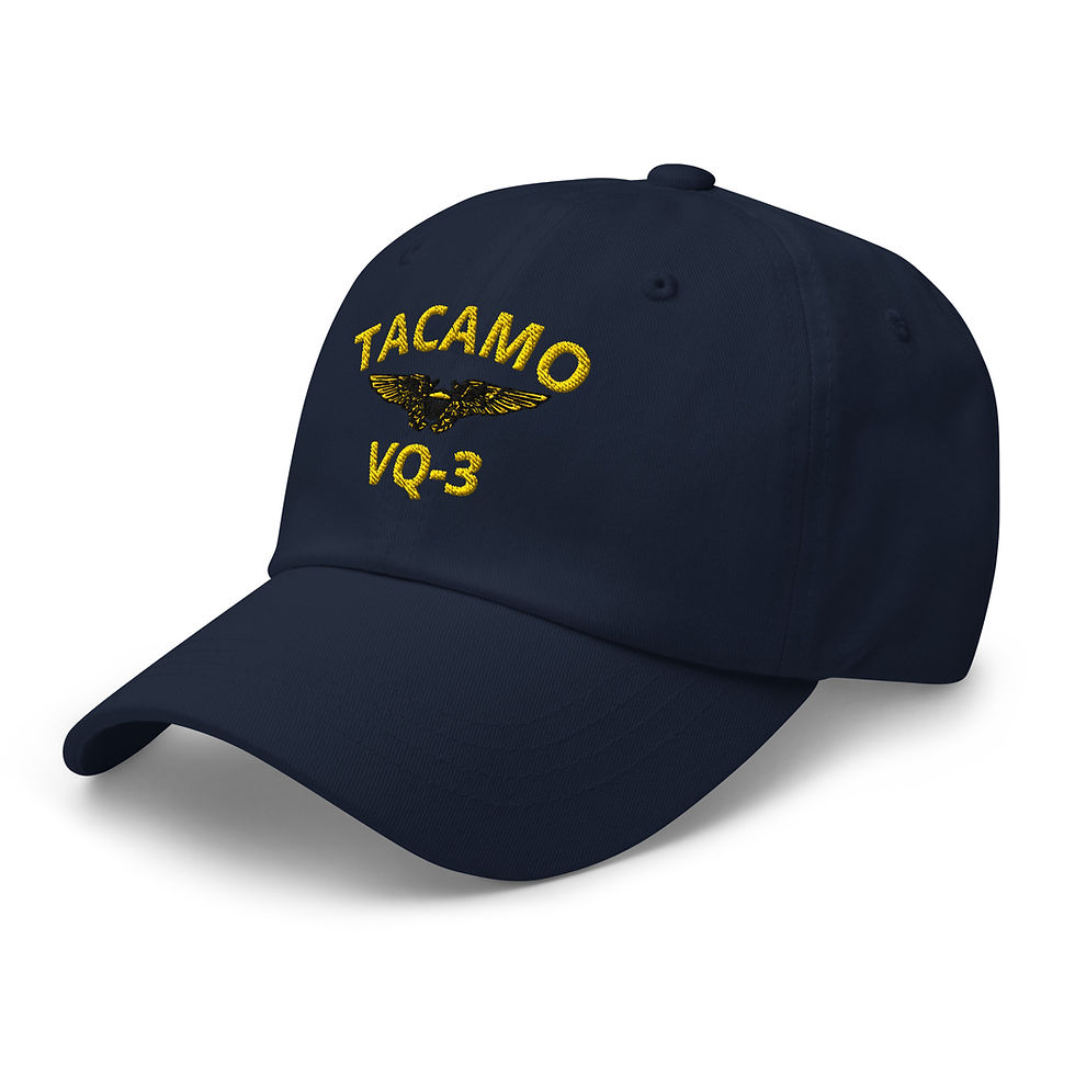 Thumbnail: TACAMO NFO VQ-3 Dad hat Navy