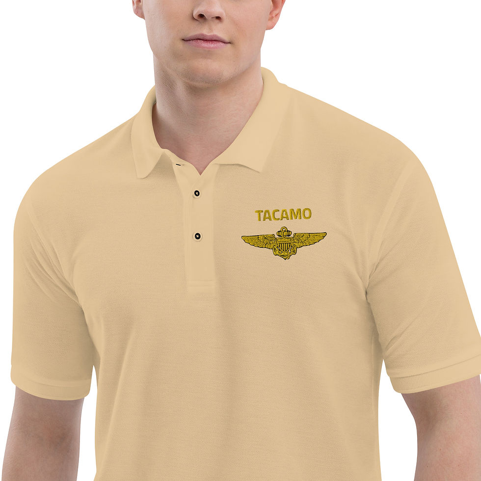 Thumbnail: TACAMO Pilot