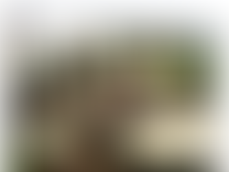 Happy Birthday TCVA!