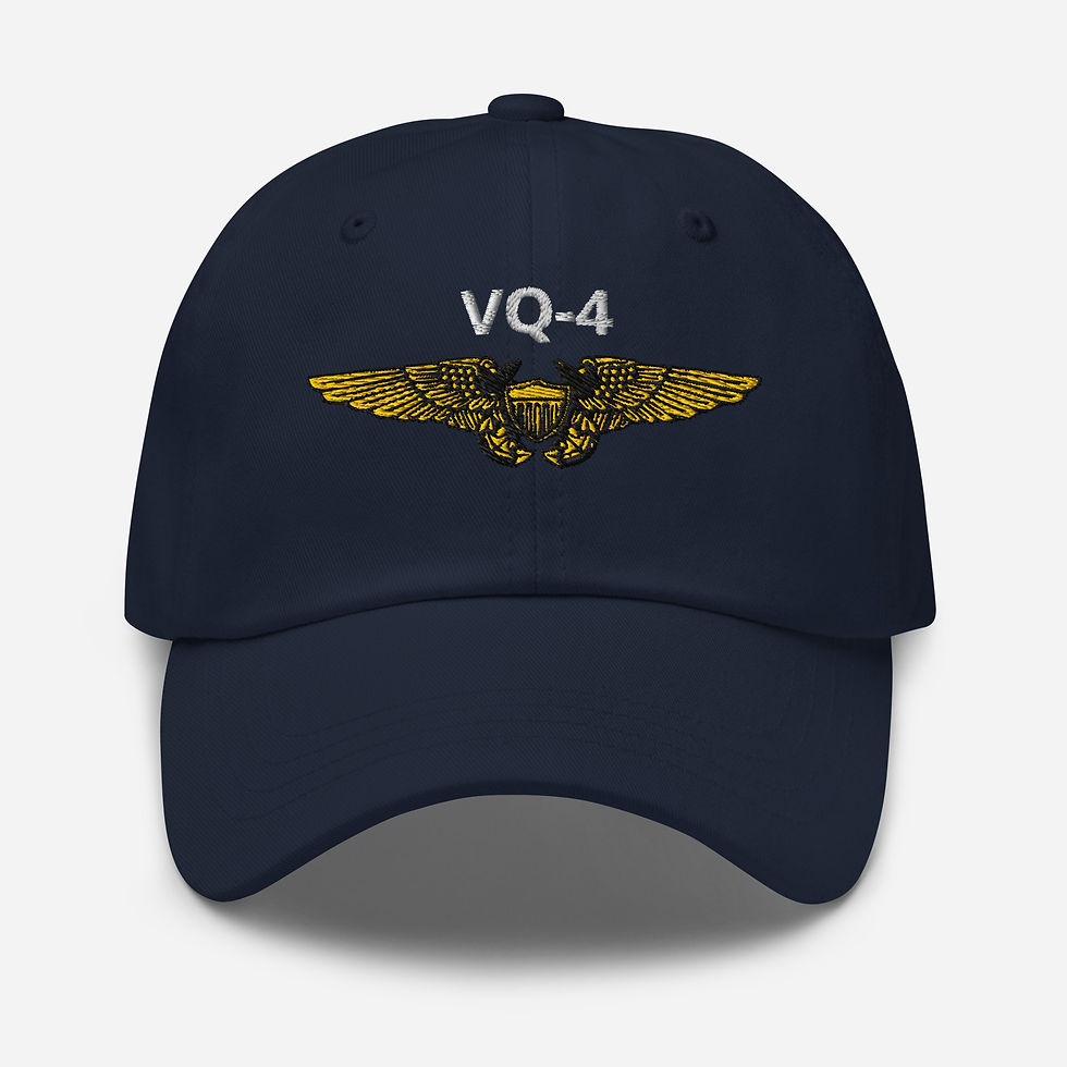 VQ-4 NFO Dad hat