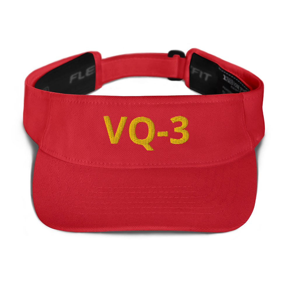 Thumbnail: VQ-3 Visor 