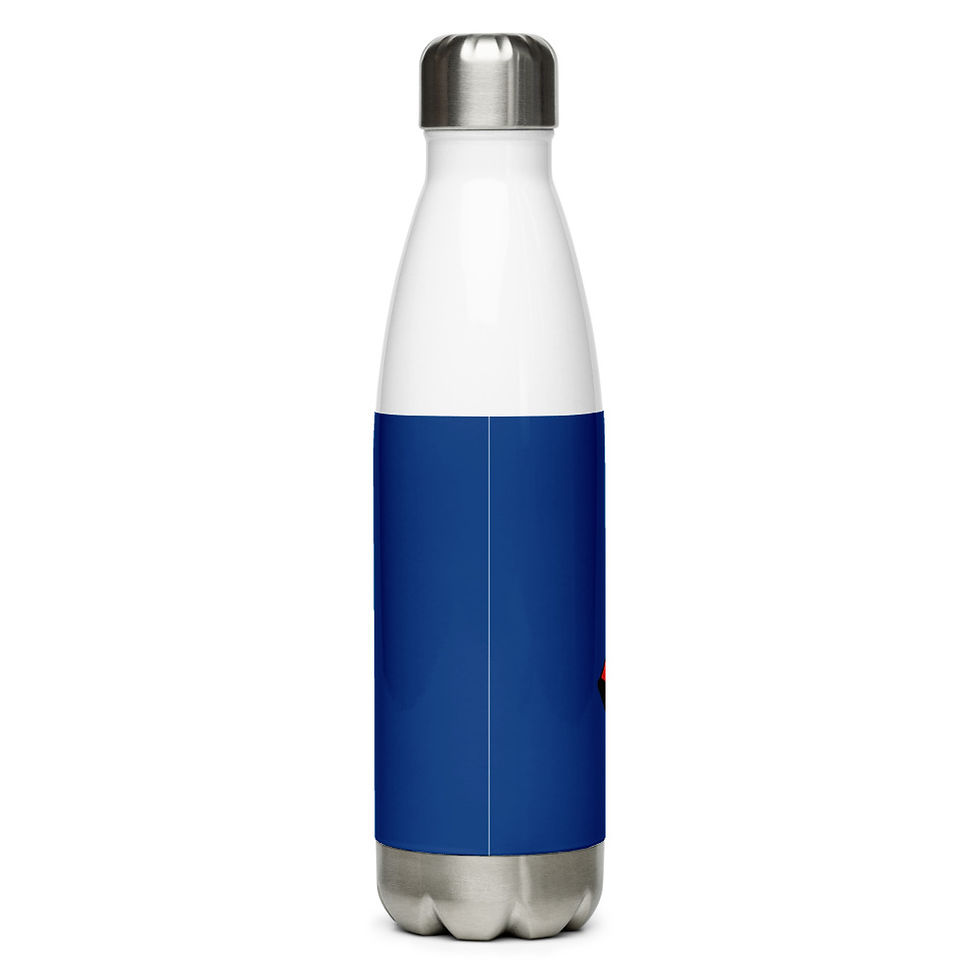 Thumbnail: TACAMO w/Drogue Stainless Steel Water Bottle