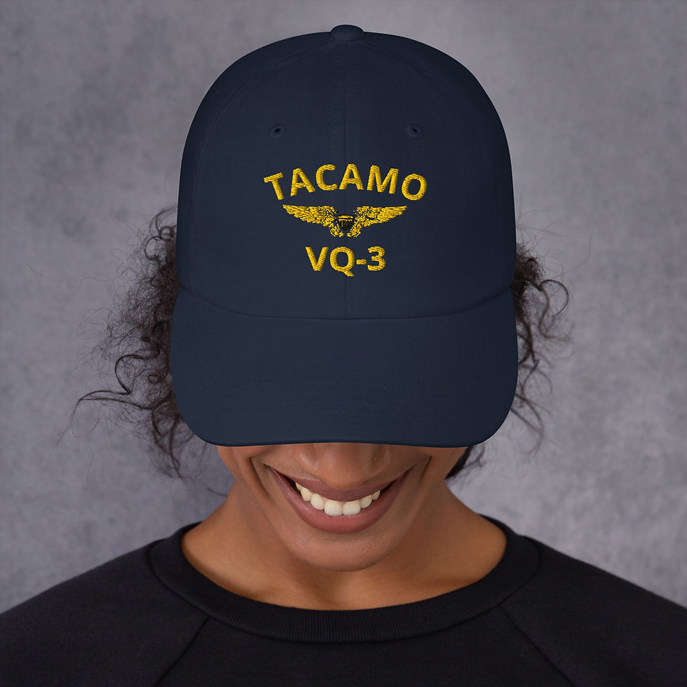 Thumbnail: TACAMO NFO VQ-3 Dad hat Navy