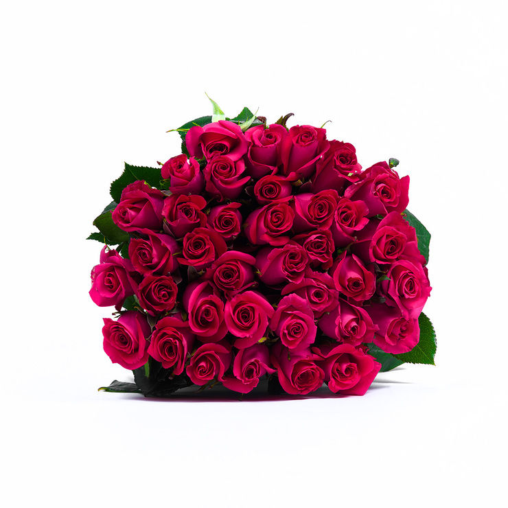 Miniatura: Rosas