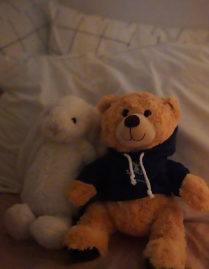 DSC00774.JPG