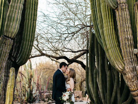 Desert Botanical Garden Wedding Guide: What You Need to Know