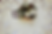Screenshot 2024-03-24 at 5.39.36 PM.png