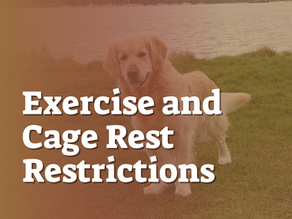 Exercise and Cage Rest Restrictions