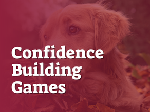Confidence Building Games