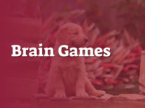 Brain Games