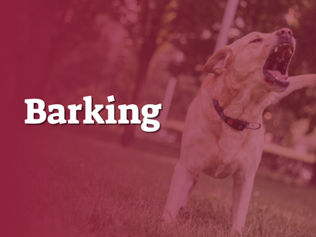 Barking