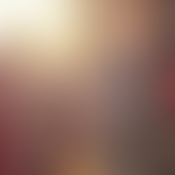 Critical Mass Bicyclists Critically Injured