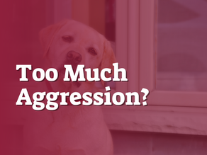 Too Much Aggression?