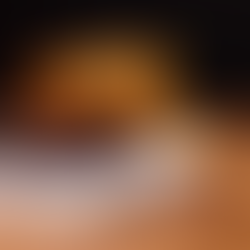 Carbon Fiber Bike - Repair and Recovery