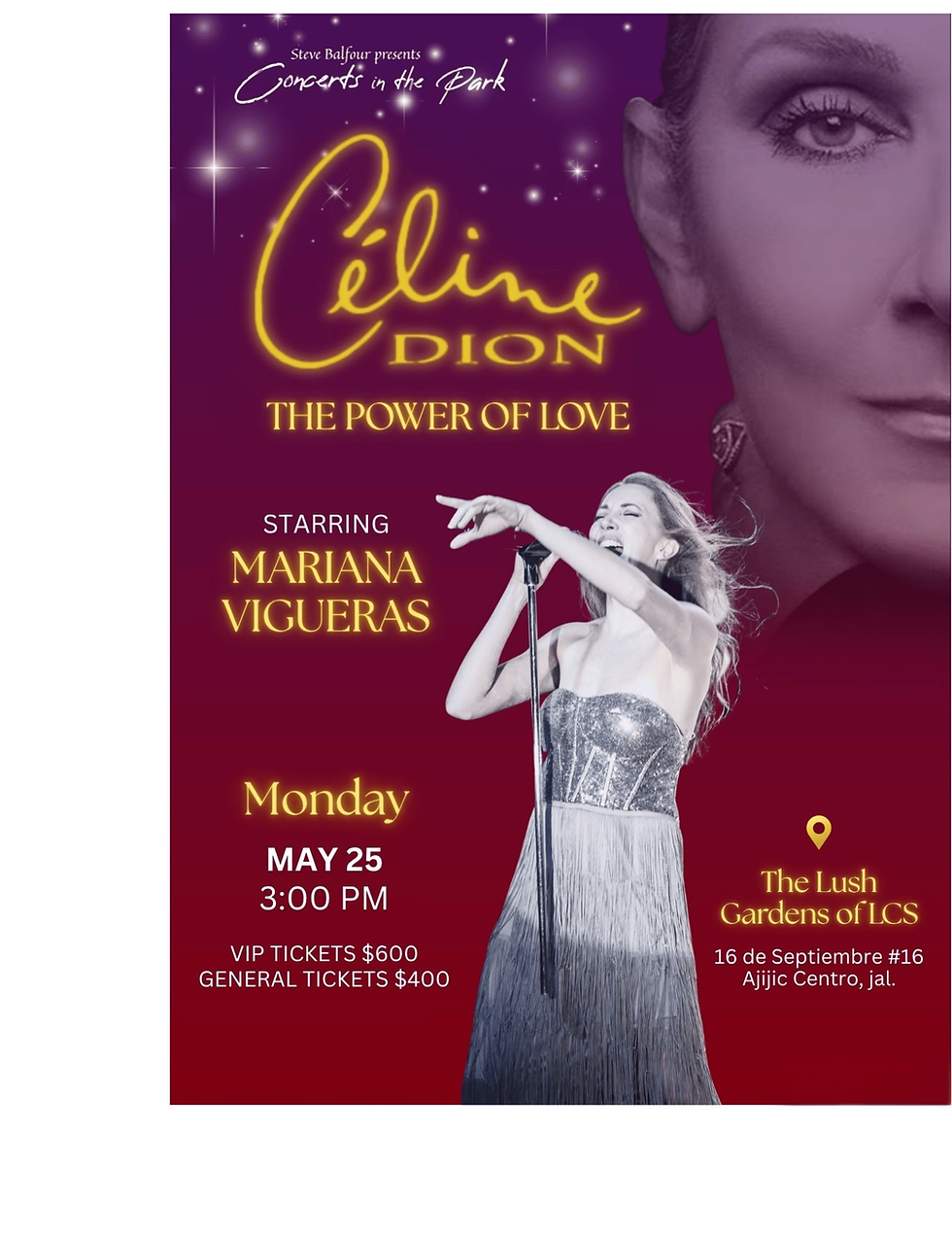 Celine Dion concert (1).png