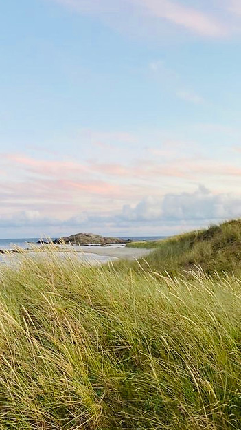 Blick von den Dünen auf das Meer.