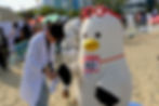 DSCF0225
