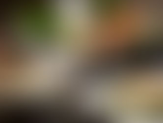 רוטב בשמל: המדריך המלא לרוטב ה"אם" הלבן