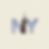 Authi NYC.png