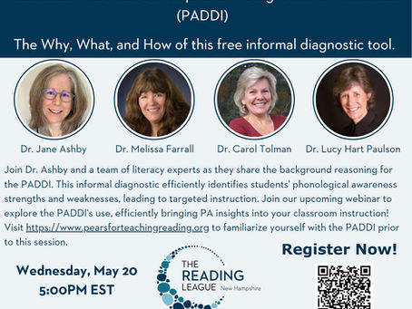 PADDI: The Why, What, and How