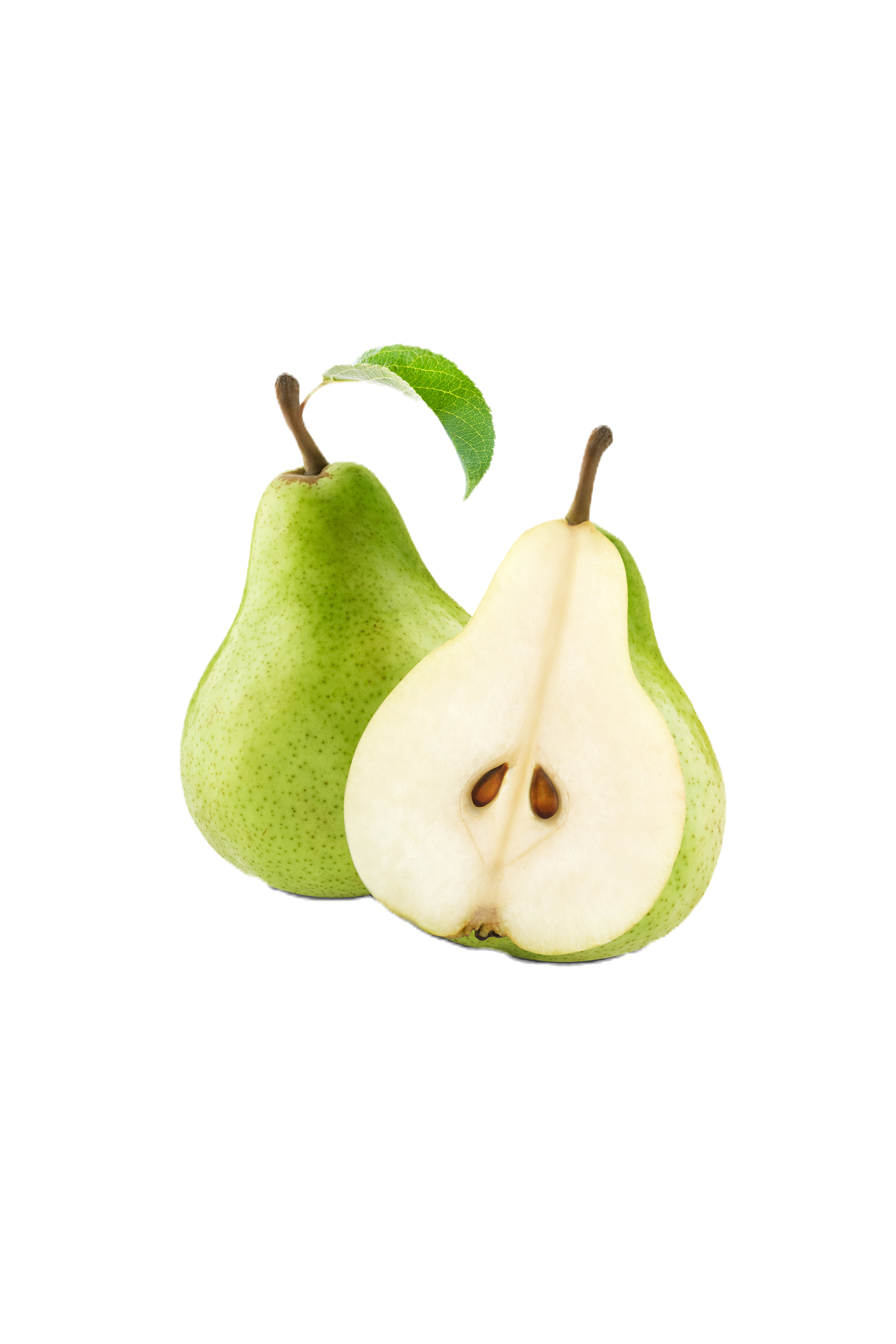 Writer: The PEARS Team