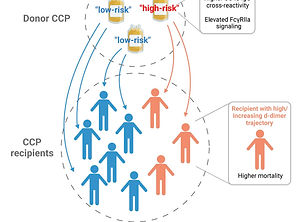 Post-transfusion activation of coagulation pathways during severe COVID-19 correlates with COVID-19 convalescent plasma antibody profiles