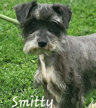 Smitty 2.jpg